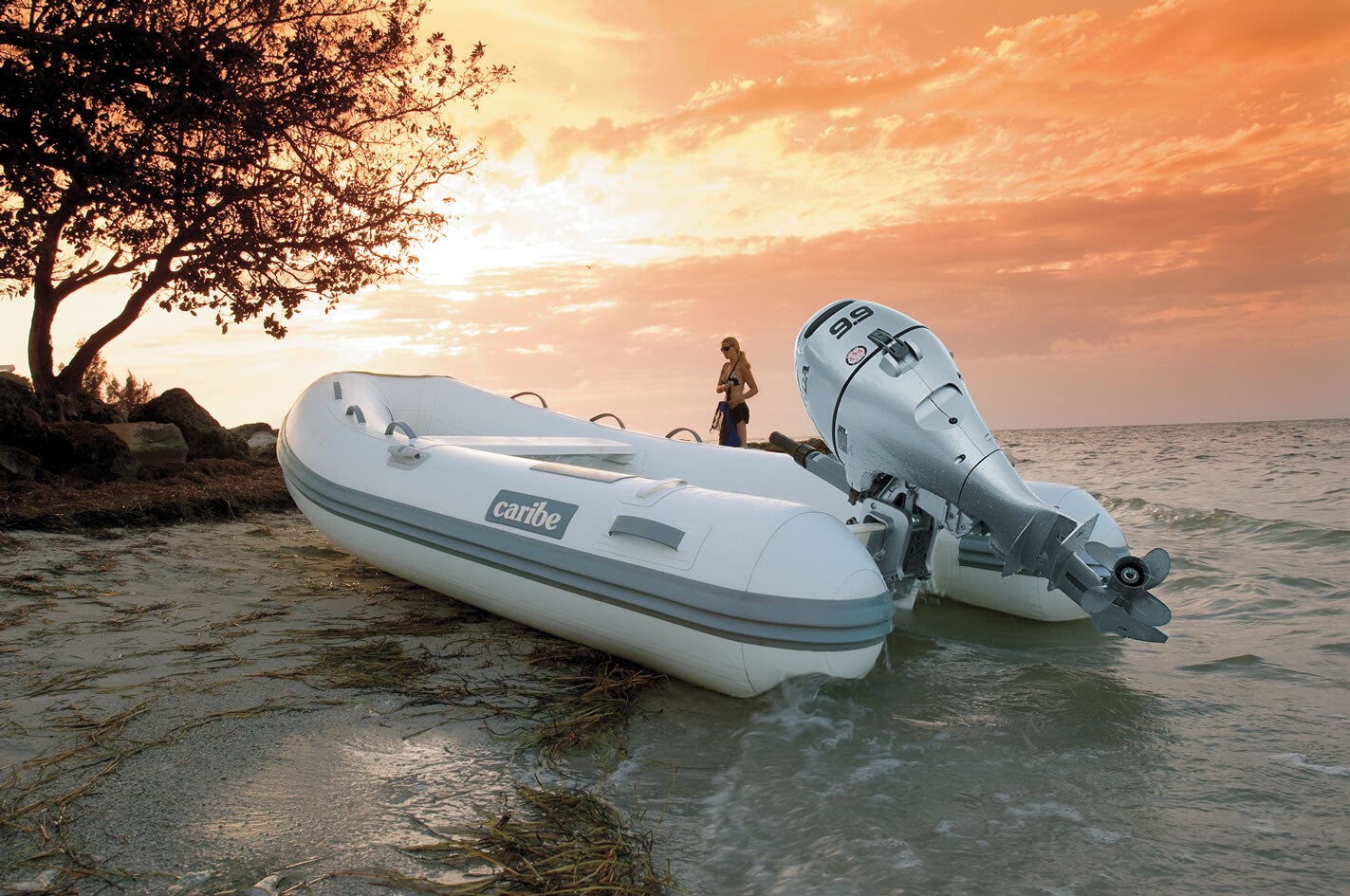 Honda 10 PK buitenboordmotor BF10 — LRU - Marinaut