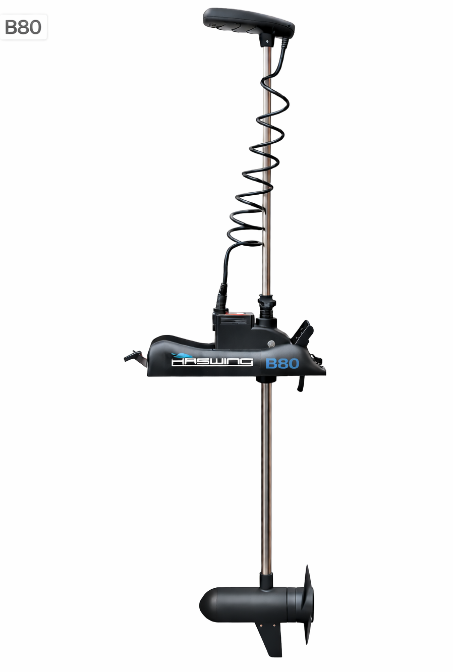 Haswing Elektrische Cayman B80