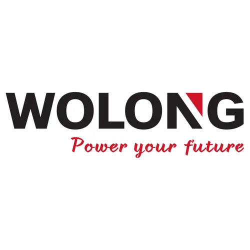 Wolong Power your future bedrijfslogo
